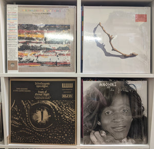 PJ Harvey, Anohni and the Johnsons, Songs of Nick Drake, Neu, King Gizzard & the Lizard Wizard, Unloved's tracks from Killing Eve on vinyl, African Head Charge, Beverley Glenn-Copeland, Little Dragon, Bisarr