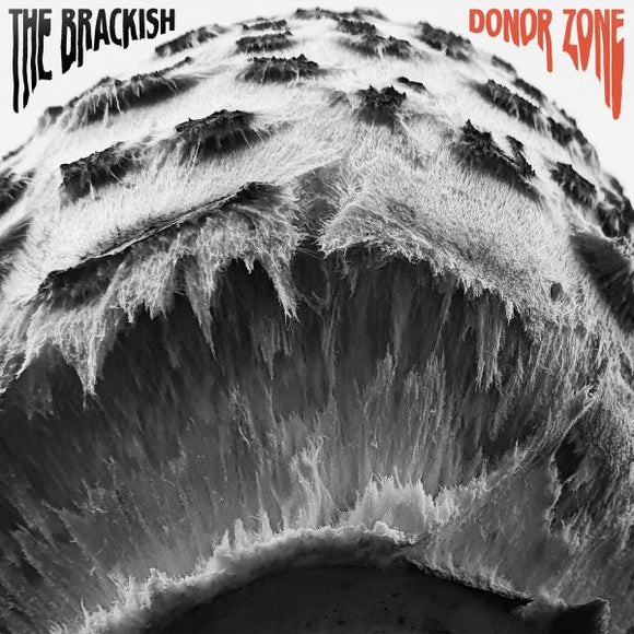 The Brackish - Donor Zone - New Coloured LP