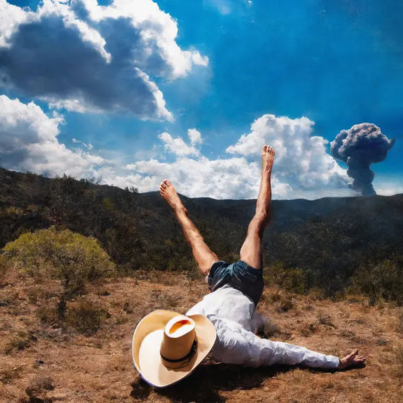 Geese - 3D Country - New CD