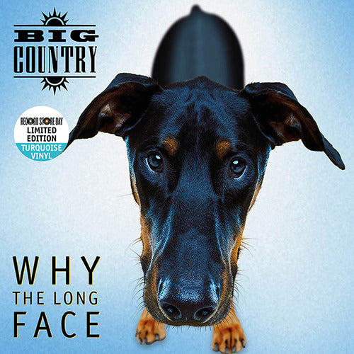 Big Country - Why The Long Face – New 1LP – RSD24