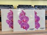 Jack Broadbent - Orchids - New LP