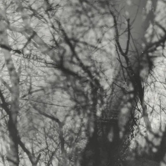 Grouper - Way Their Crept - New LP