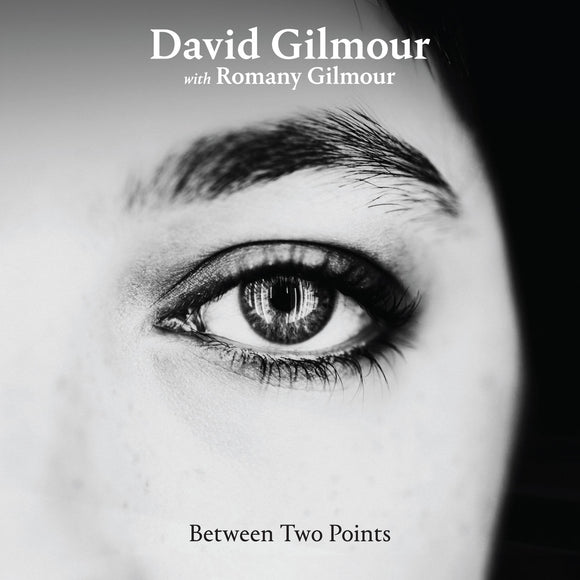 David Gilmour - Between Two Points Remixes – New Silver 12” Single – RSD25