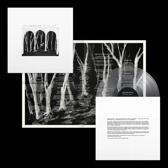 These New Puritans - Crooked Wing - New Clear LP