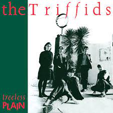 The Triffids - Treeless Plain (40th Anniversary) - New Ltd White LP