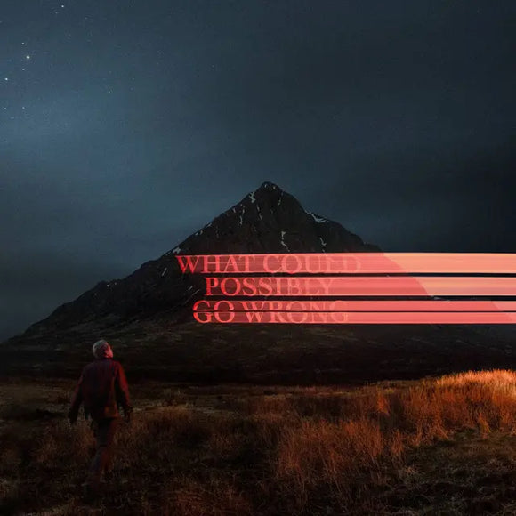 Dominic Fike - What Could Possibly Go Wrong - New LP – Off The Beaten ...
