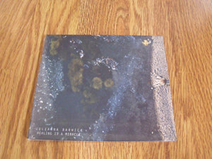 Juliana Barwick - Healing Is A Miracle - New CD