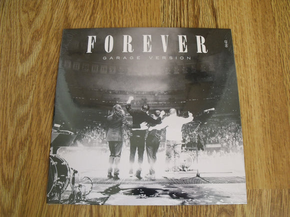 Mumford & Sons - Forever (Garage Version) - New Ltd 7