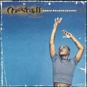 Me'shell Ndegeocello - Peace Beyond Passion – New Blue 2LP