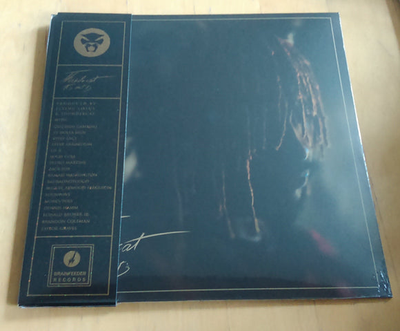 Thundercat - It Is What It Is Deluxe New LP