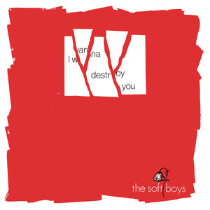The Soft Boys - I Wanna Destroy You / Near The Soft Boys (40th Anniversary Edition) - New 2x7" Gatefold - RSD20