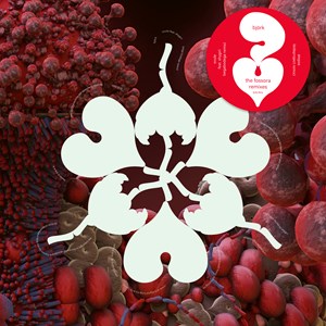 Björk - Ovule (Sega Bodega Remix) / Atopos (sideproject Remix) - New 12" - RSD 23
