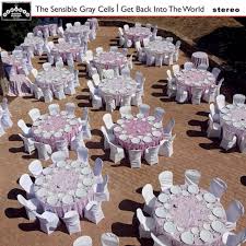 The Sensible Gray Cells - Get Back Into The World - New CD