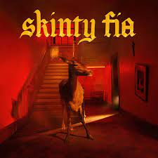 Fontaines D.C. - Skinty Fia - New Deluxe 2LP