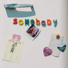 Sam Ryder - Somebody (National Album Day) - New 7" Single