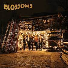 Blossoms - Blossoms (National Album Day 2022) - New Orange LP