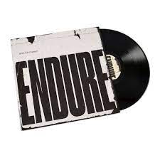Special Interest - Endure - New LP