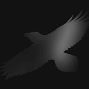 Sigur Ros - Odin's Raven Magic - New CD
