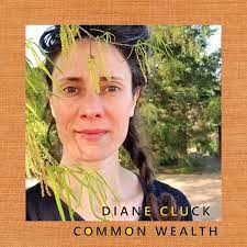 Diane Cluck - Common Wealth - New 10
