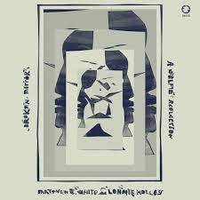 Matthew E White and Lonnie Holley - Broken Mirror: A Selfie Reflection - New CD