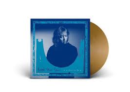 Brigid Mae Power - Head Above The Water - Love Record Stores Variant - New Ltd Gold LP