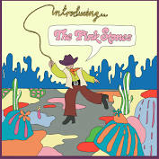 The Pink Stones - Introducing...The Pink Stones - New LP