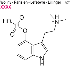 Wollny / Parisien / Lefebvre / Lillinger - XXXX - New Pink LP