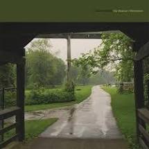 Cloud Nothings - The shadow I Remember - New Coloured LP