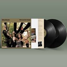 Belle & Sebastian - What To Look For In Summer - New 2LP
