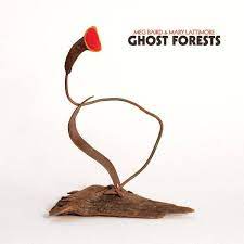 Meg Baird & Mary Lattimore - Ghost Forests - New Coke Bottle Clear LP