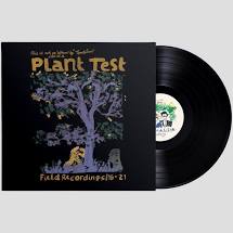 Sports Team - Plant Test - New LP