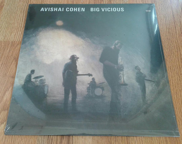 Avishai Cohen - Big Vicious - New LP
