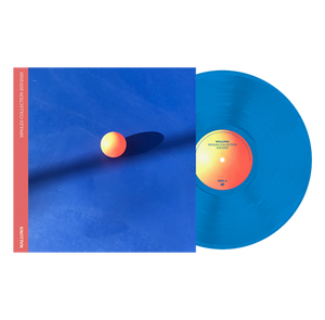 Wallows - Singles Collection 2017 - 2020 - New LP Blue Vinyl - RSD22